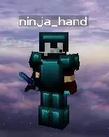 Gallery Image 4 for Ninja Hand  on PVPRP